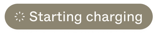 A medium gray charging status pill with an icon (loading symbol) and a label ("starting charging")